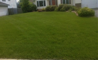 Lawn fertilizer service after